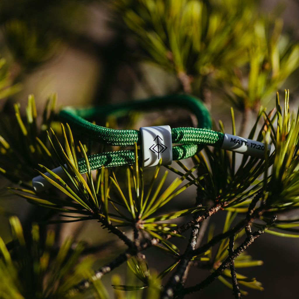 Move Mountains, Matthew 17:20